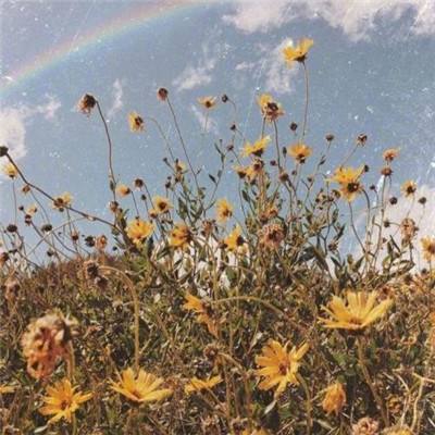 ag娱乐平台游戏中心