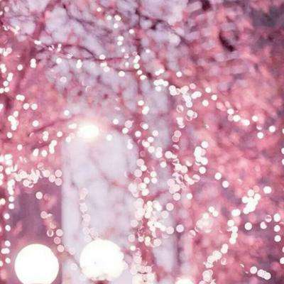 BSportAPP在线登录